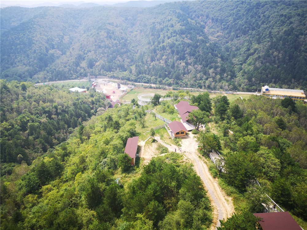 乐嘉如何了解孩子的性格,乐嘉性格色彩判断孩子性格