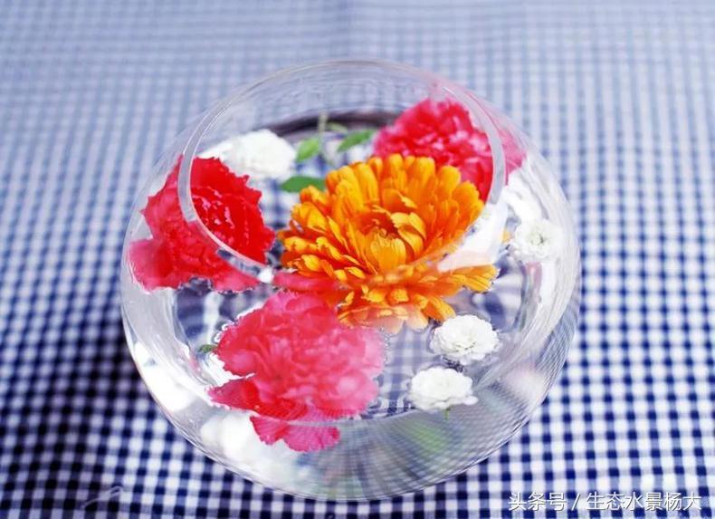 家里多余的闲置鱼缸,家里的空鱼缸处理方法