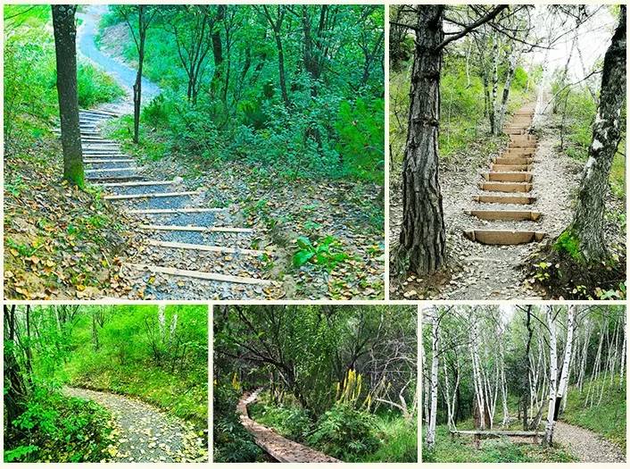 黄龙最新旅游攻略,黄龙一月旅游攻略图