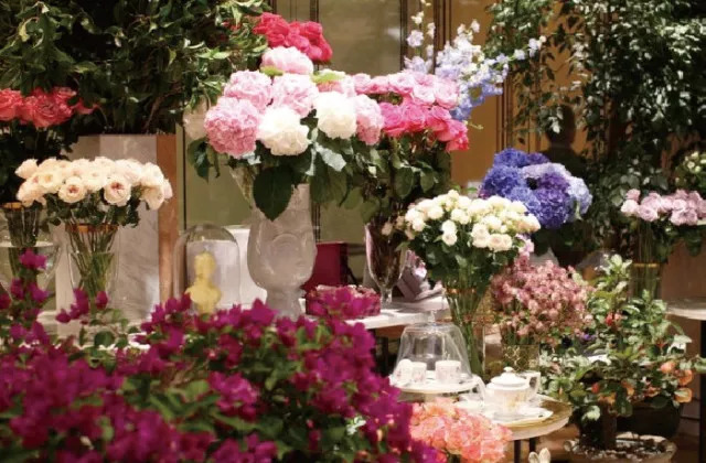 过生日省钱又划算的攻略,过生日优惠攻略