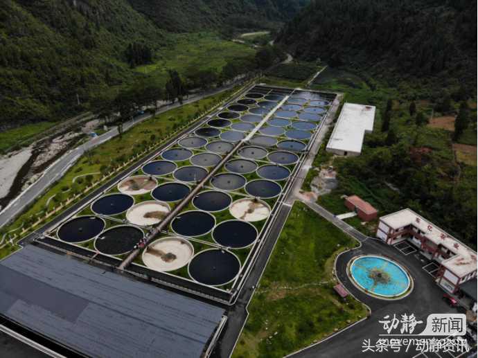 姊靛噣灞辨邯姘撮奔,姊靛噣灞遍緳娲炴硥姘撮奔