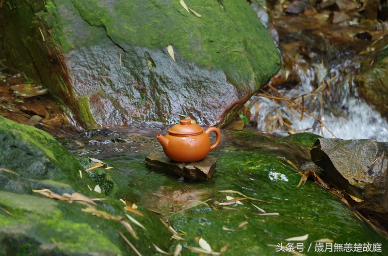 什么水泡茶效果最好,什么材质的杯子泡茶水最好