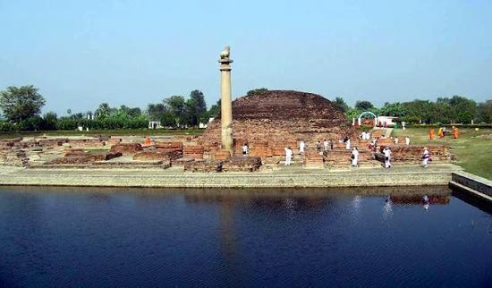 猿猴的语言怎么写,猿猴的写法