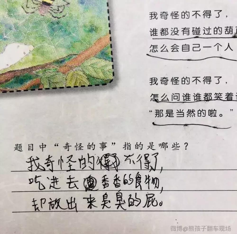用我奇怪得不得了造句,用奇怪造句小学二年级