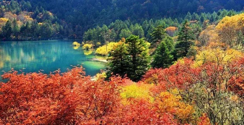 四川秋景第一名,四川欣赏秋景好去处