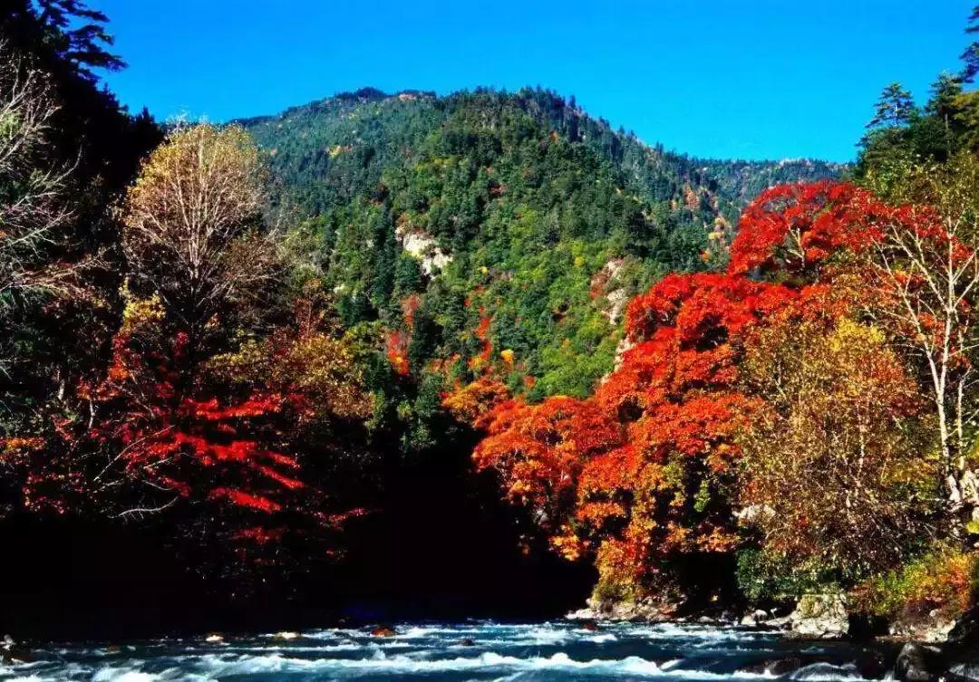 四川秋景第一名,四川欣赏秋景好去处