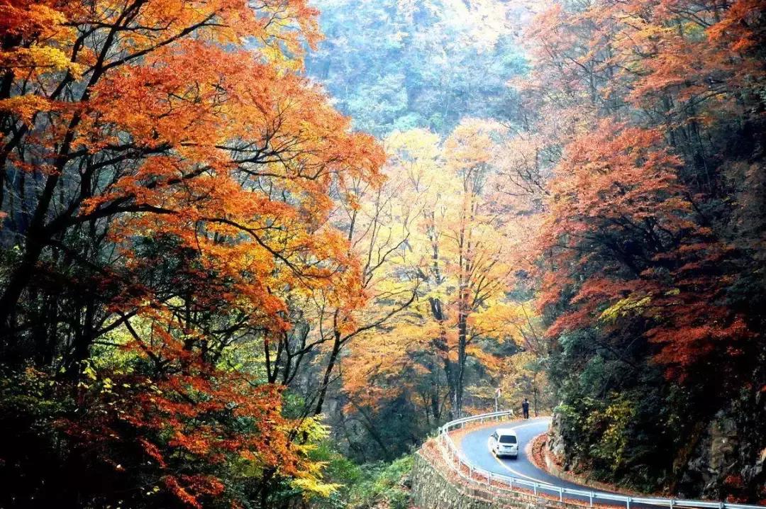 四川秋景第一名,四川欣赏秋景好去处