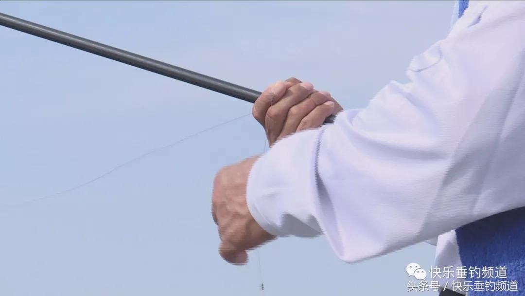 秋季钓草鱼鲤鱼绝佳饵料配方,秋季晚上钓草鱼最好的方法