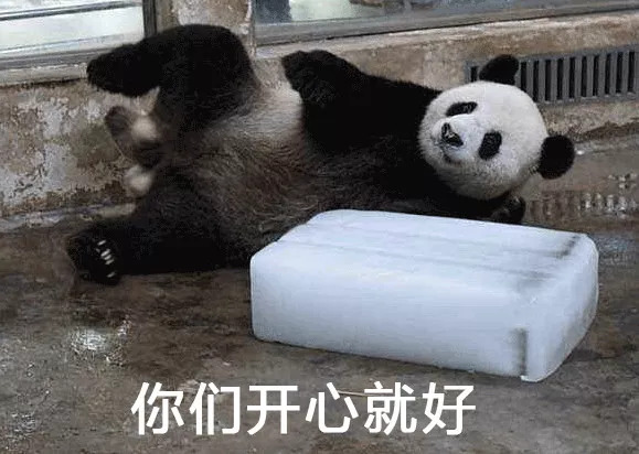 每一只可爱滚滚的背后,都有一群起名字不靠谱的人!