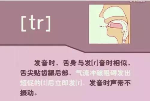 音标教学视频48个,夏沫英语48个音标教学视频