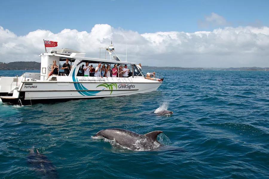 澳大利亚和新西兰旅行哪个贵,澳大利亚和新西兰怎么玩