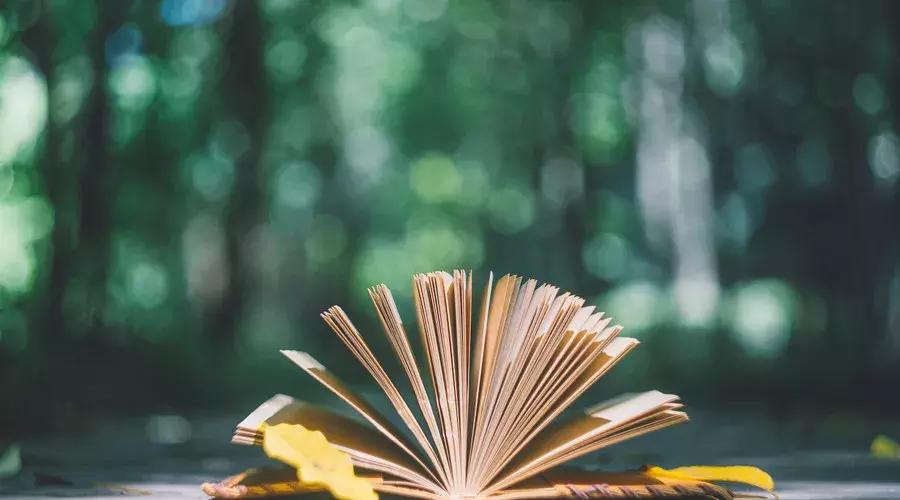 刑法知识点总结大全,刑法基础知识案例