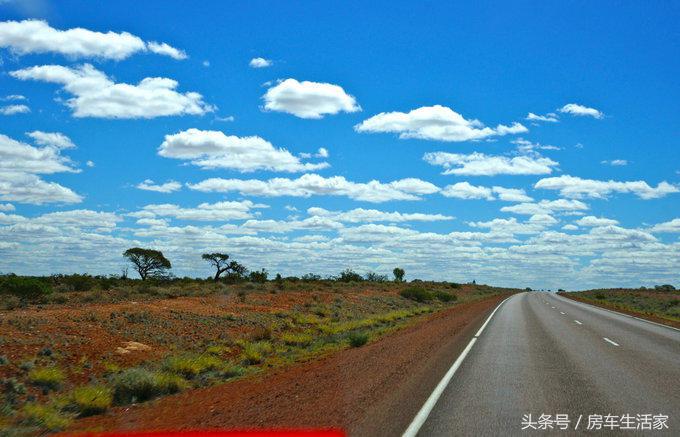 澳宝化石,澳宝考古