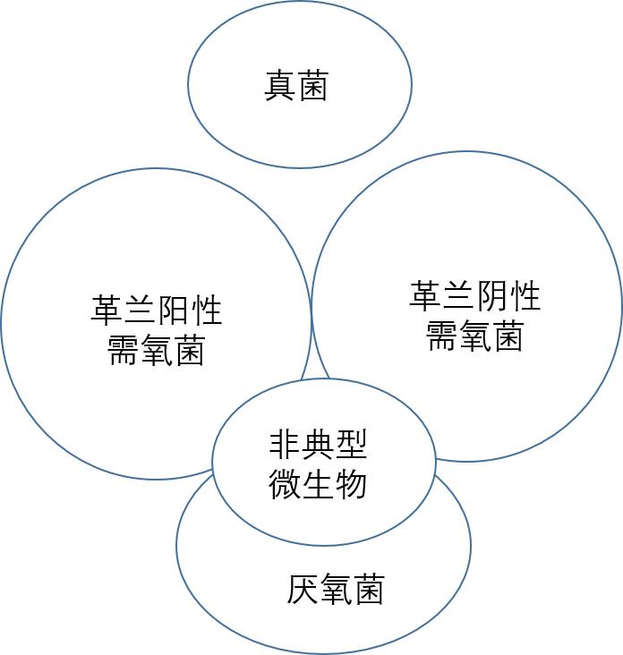 口服阿莫西林罗红霉素头孢克肟,头孢青霉素阿莫西林罗红霉素区别