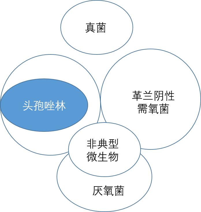 口服阿莫西林罗红霉素头孢克肟,头孢青霉素阿莫西林罗红霉素区别