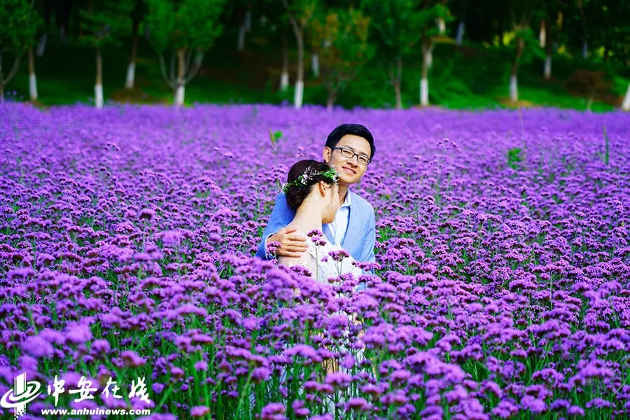 镜头里的初夏有多美好,镜头里的夏至