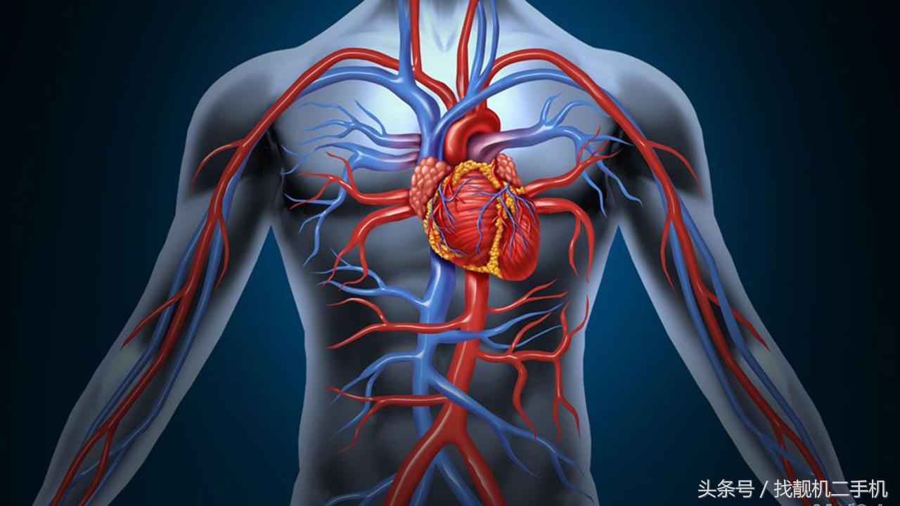 人死前血液在身体里循环，死后血液都流到哪去了？