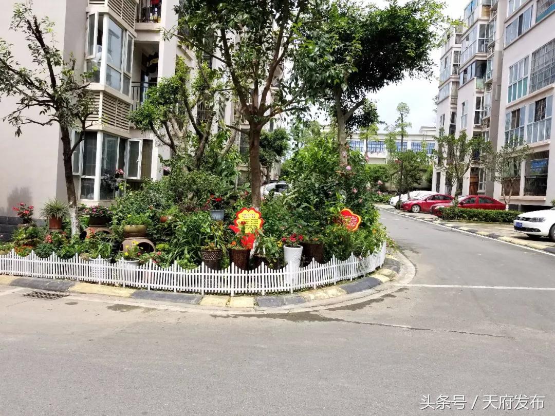 升级服务！万安街道创新探索社区治理新路径，提升居民幸福感