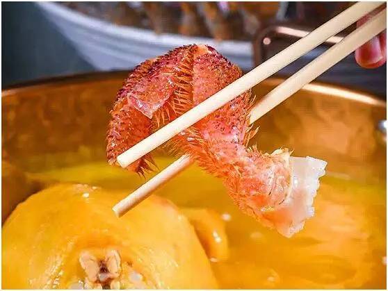 喜提新产品,喜提新品