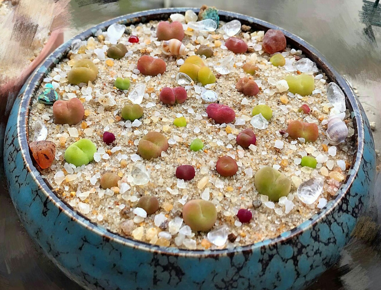 慢生活全文免费阅读,慢生活轻阅读