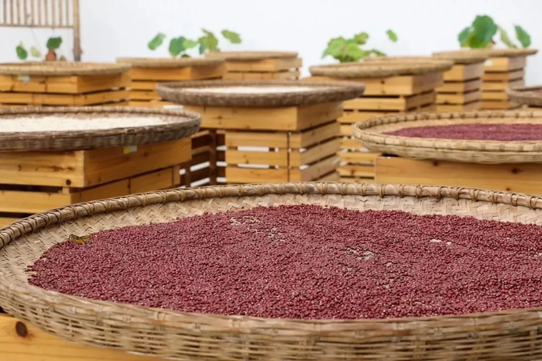 面部出油严重长痘,面部出油有痘痘不出汗