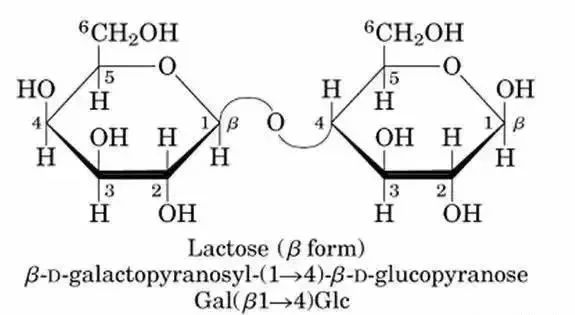 老卜奎泡什么茶好喝,老卜奎说茶的十大恶习