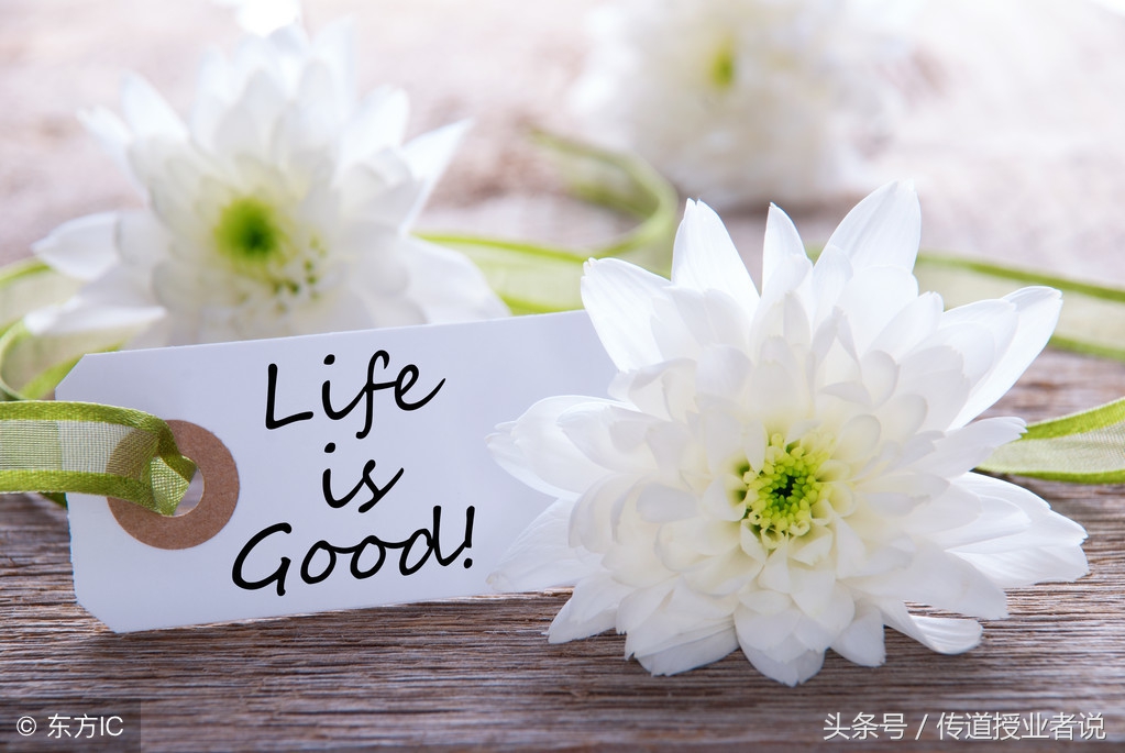 语文三年级上册作文所有单元范文,人教版三年级语文上册必背作文