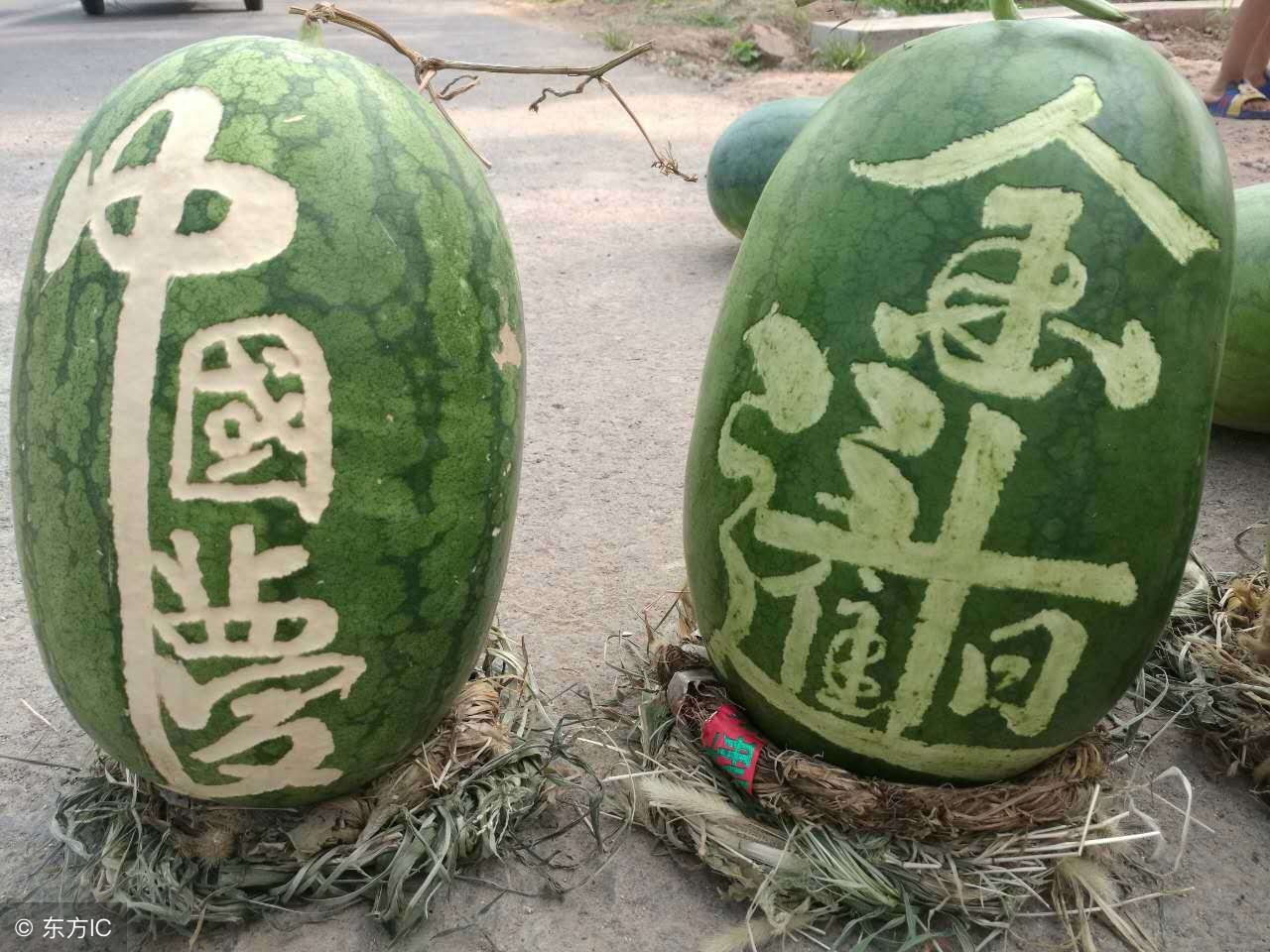 易混字怎么学,中学生必掌握的3500个常用字