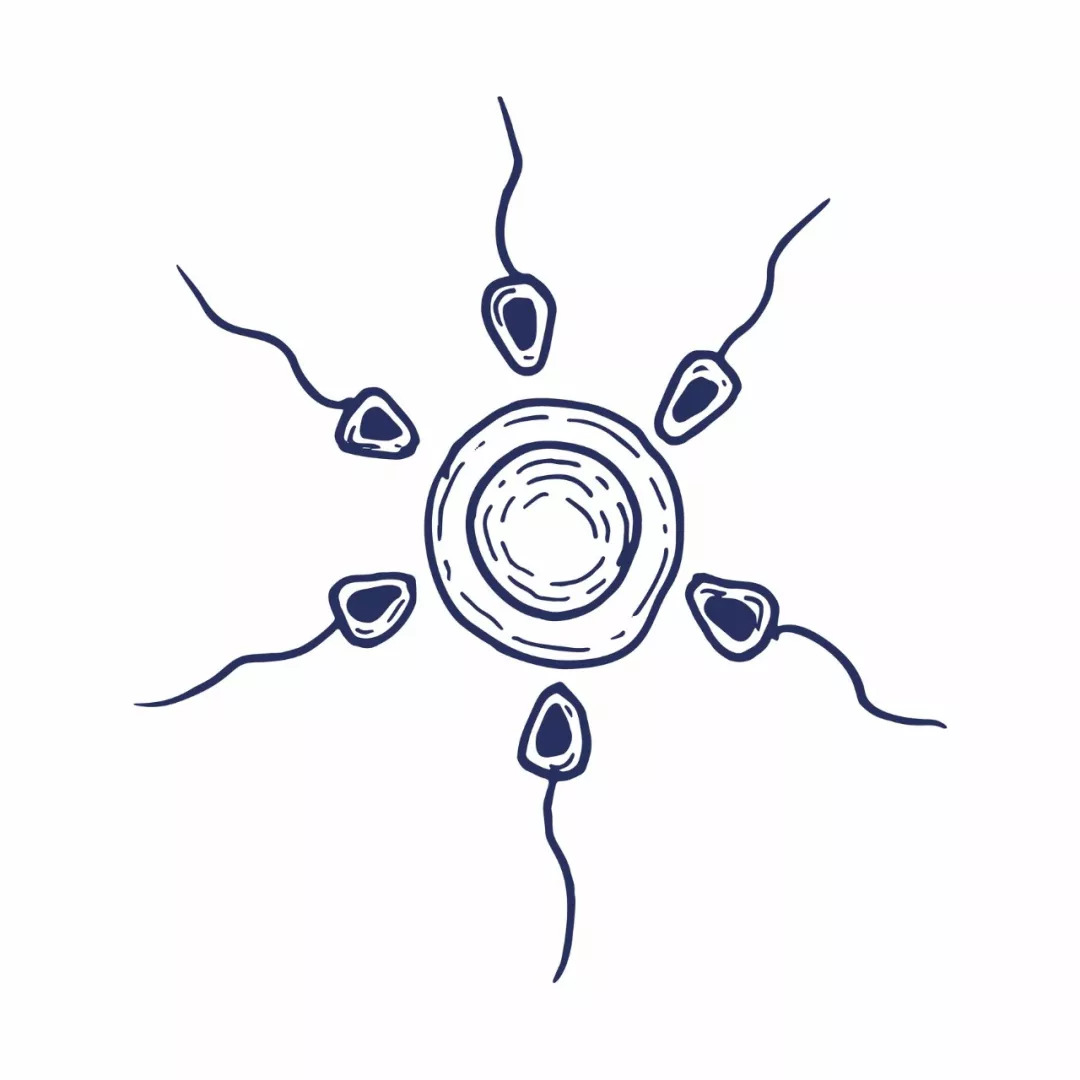 21颗卵卖10000元，17岁少女险丢命！女人一生多少卵子？长点心吧