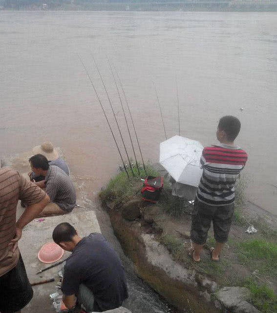 江边手竿赤眼鱼怎么钓,赤江钓鱼