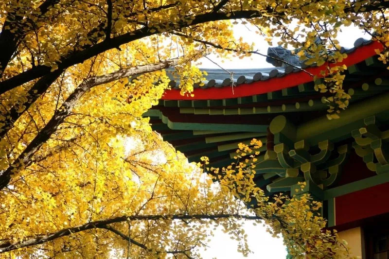 作为一个成年人活得真累,在南京生活的真实感受