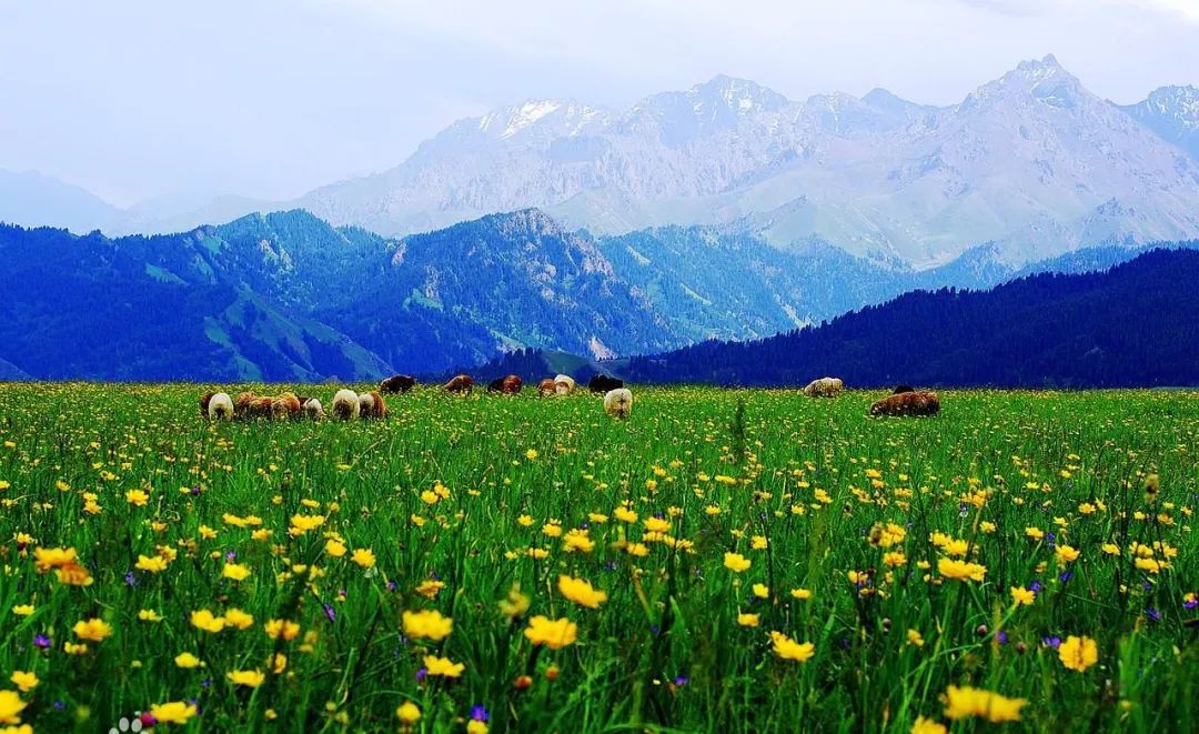 坐不住啦!十月机票低至150元,比火车票还便宜!石河子出发玩遍全国!