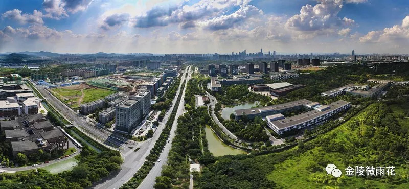 智领未来，“雨花软件”怒放创新名城
