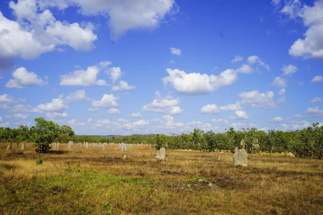 深圳有没有直飞悉尼的航班,深圳直飞悉尼最新消息