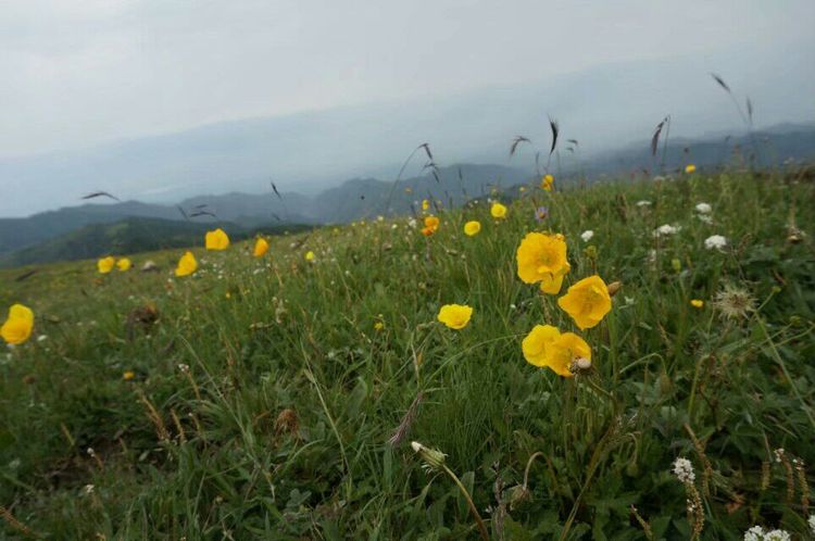 别样朝台路（繁峙古北台）