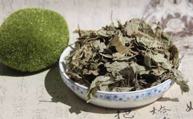 门前放艾草什么作用,大号艾草和小号艾草有什么区别