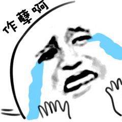 荷兰猪笼子脚垫有什么用,荷兰猪脚垫要多大孔洞