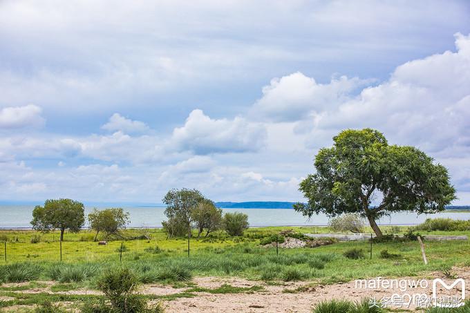 内蒙古赤峰达里湖旅游攻略,赤峰达里湖景区