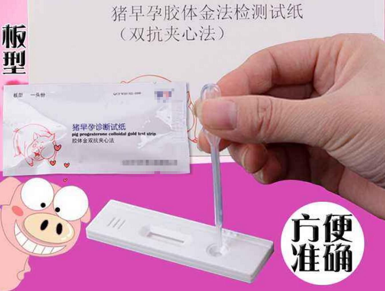 如何判断母猪有没有怀孕,怀孕母猪怎样判断生不下来