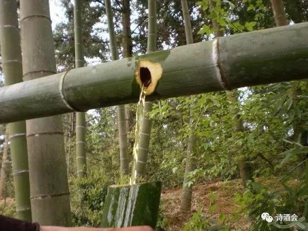 还在喝假酒,竹筒酒值得喝吗