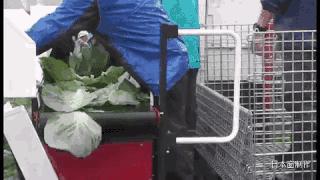 日本农民怎么种地,老农种地真容易