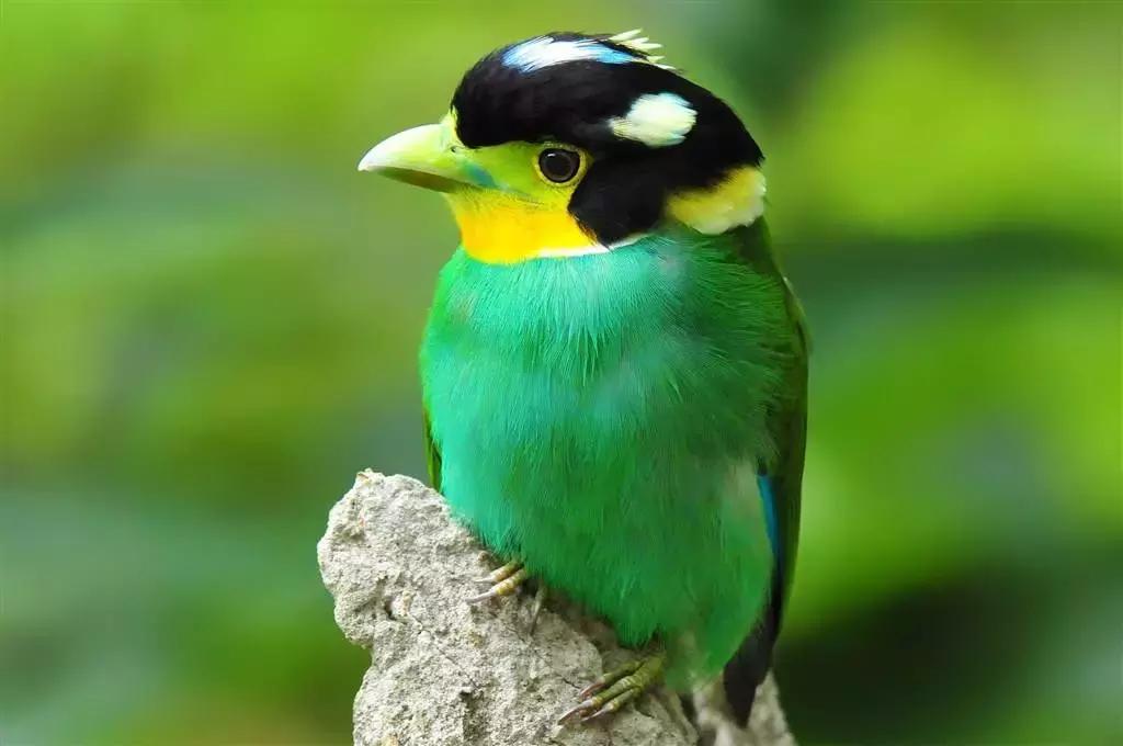 成都批发商品最便宜的地方在哪里,成都最大的小商品批发市场在哪里