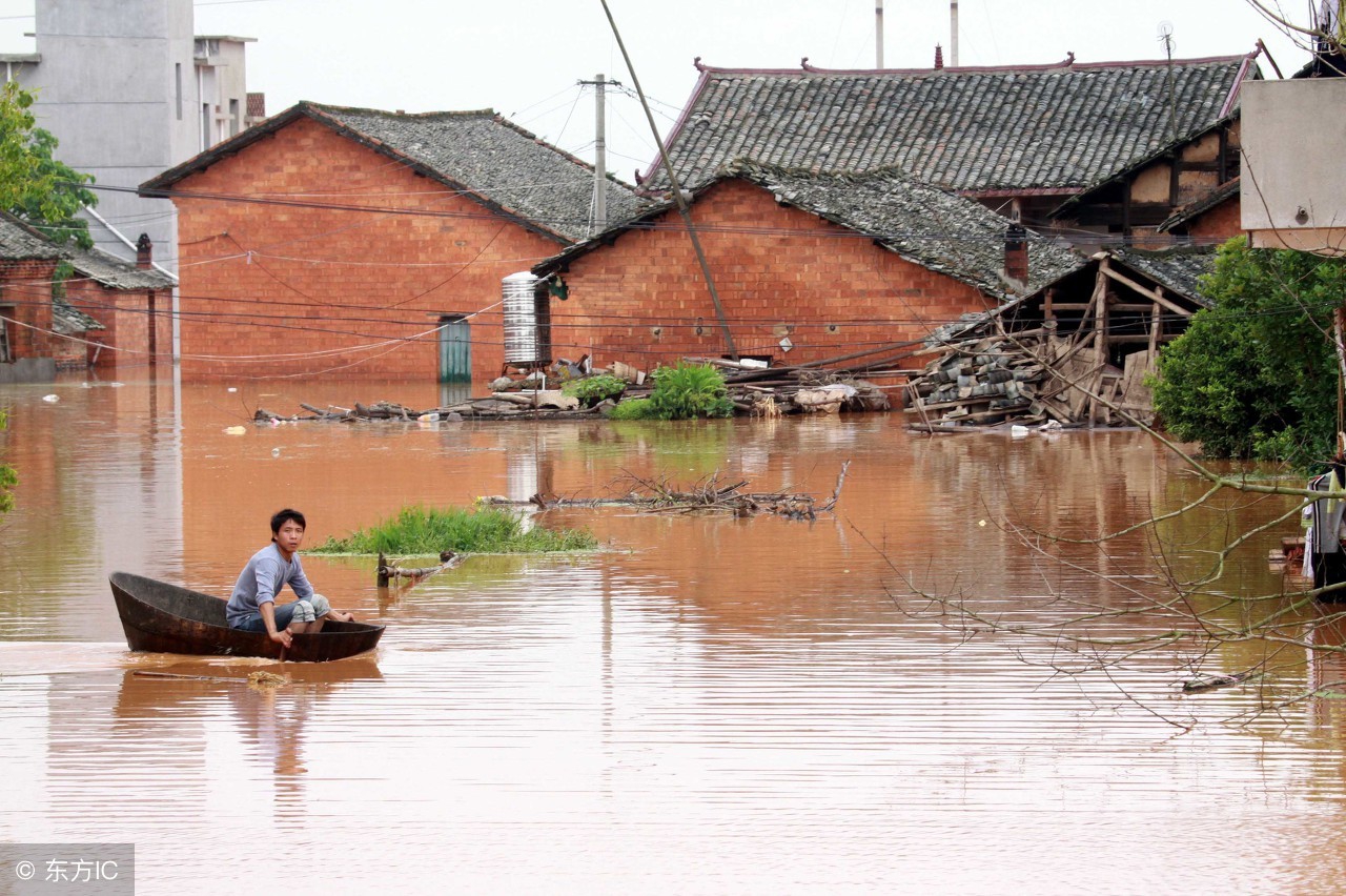 蔬菜被水泡过怎么补救,农作物受淹后补救方法
