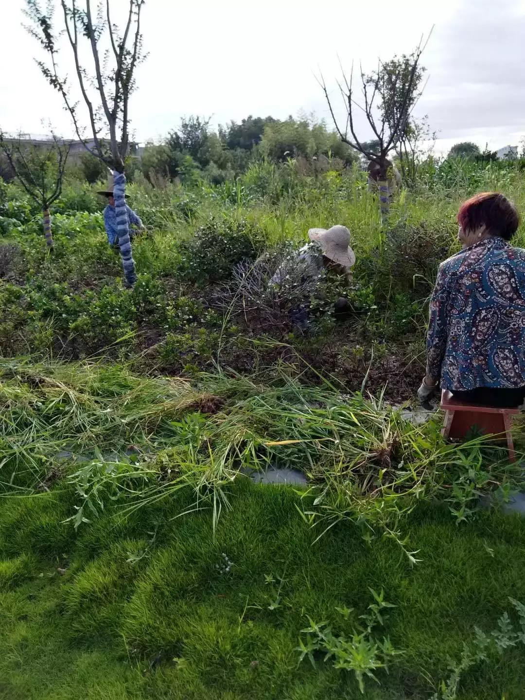 东阳市江北街道:一座城市一个家,文明江北靠大家!