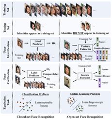 美国海关警察抓捕嫌疑人,美国海关抓捕人员