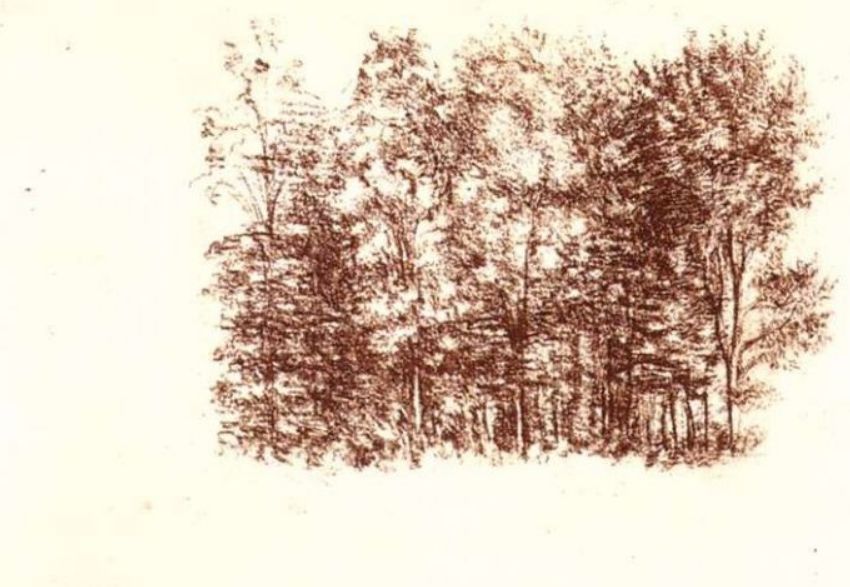 不要用你的业余爱好挑战我们的专业郭德纲终于回应交大博士夫妻