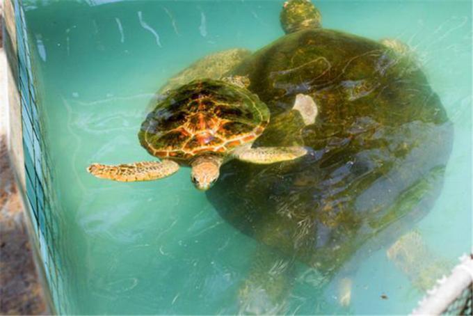 独行三亚，盘点三亚最美的美景和美食