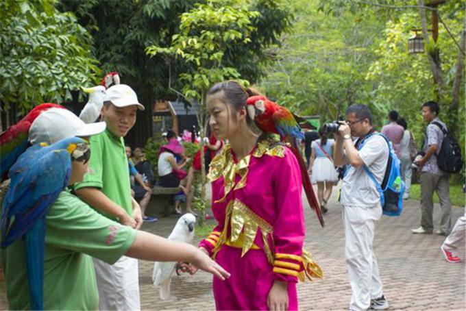 独行三亚，盘点三亚最美的美景和美食