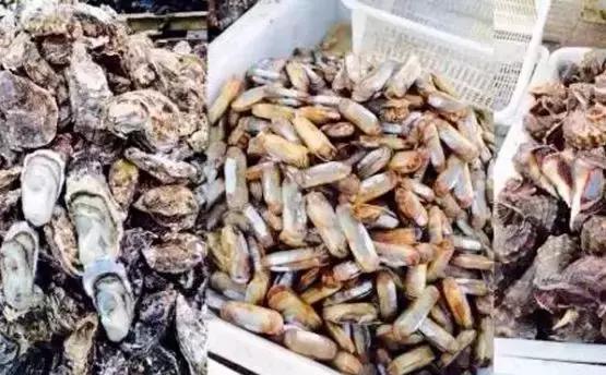 开海了有什么海鲜推荐买的,开海了海鲜去哪里买