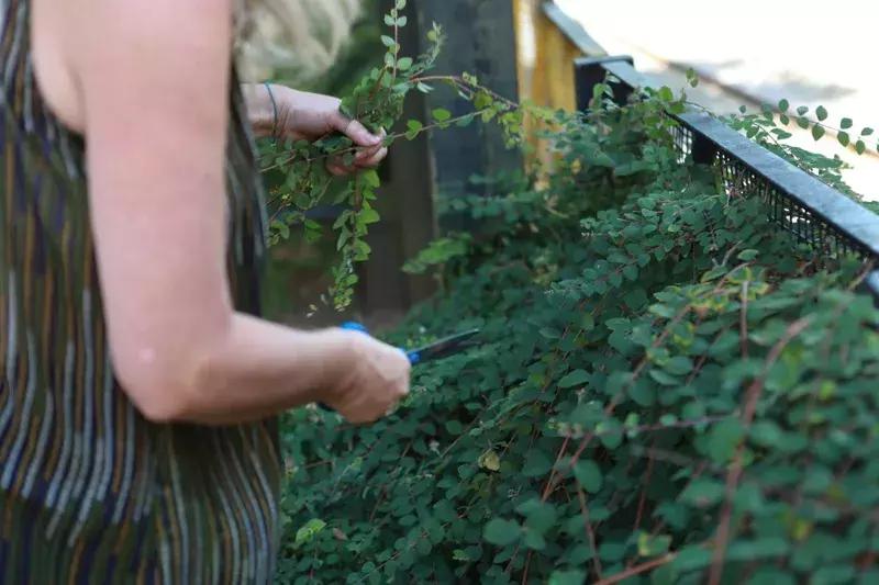 想了解一个学校应该问哪些问题,问哪些问题可以了解一个人的三观